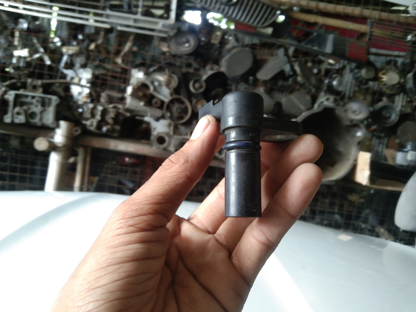 Ford Focus Crank Shaft