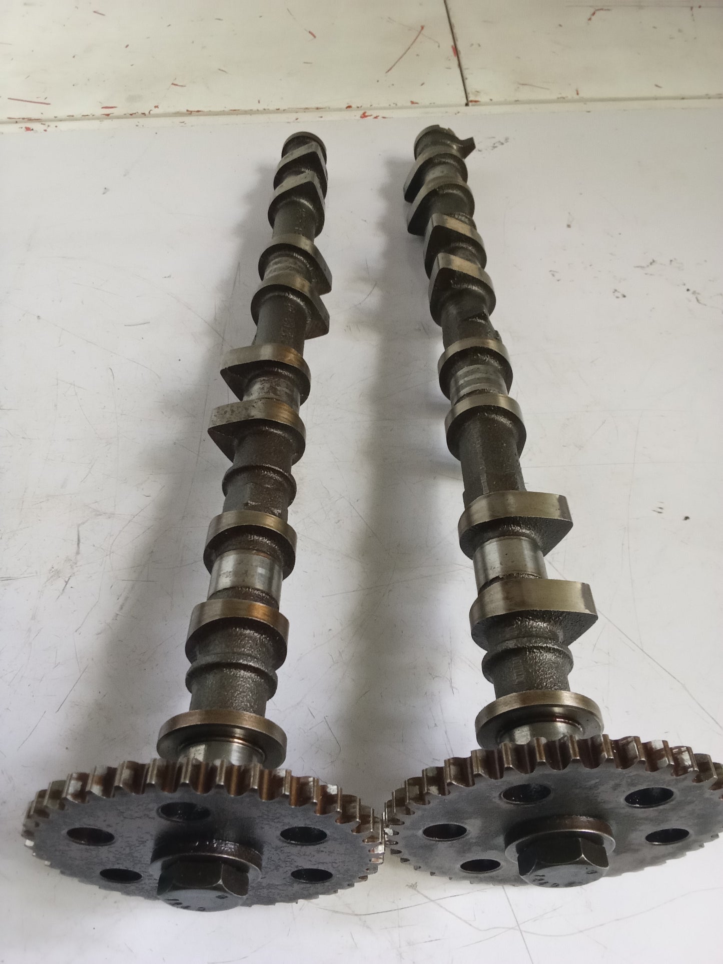 Intake | Exhaust Camshaft | Ford Focus 2.0