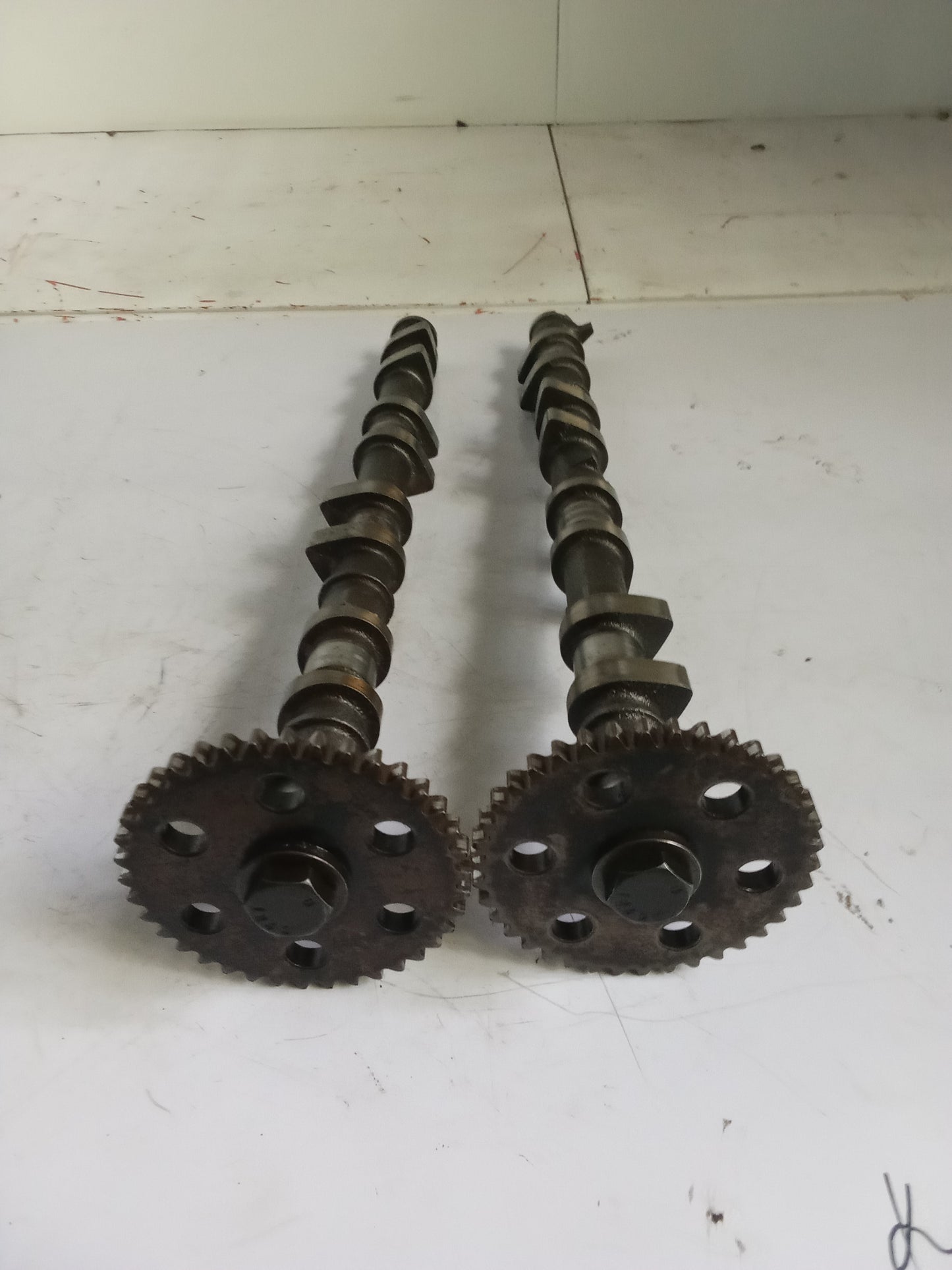 Intake | Exhaust Camshaft | Ford Focus 2.0