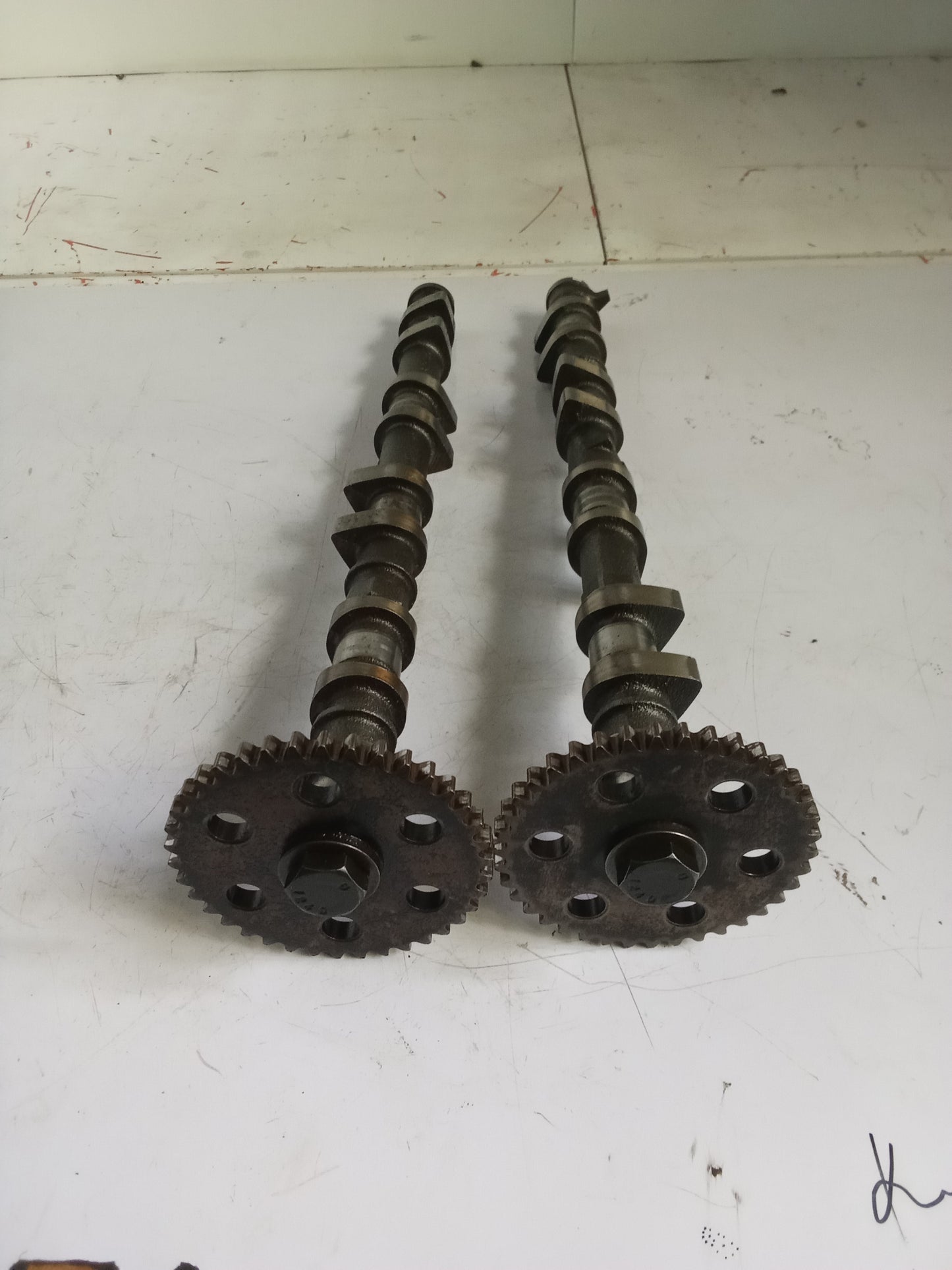 Intake | Exhaust Camshaft | Ford Focus 2.0