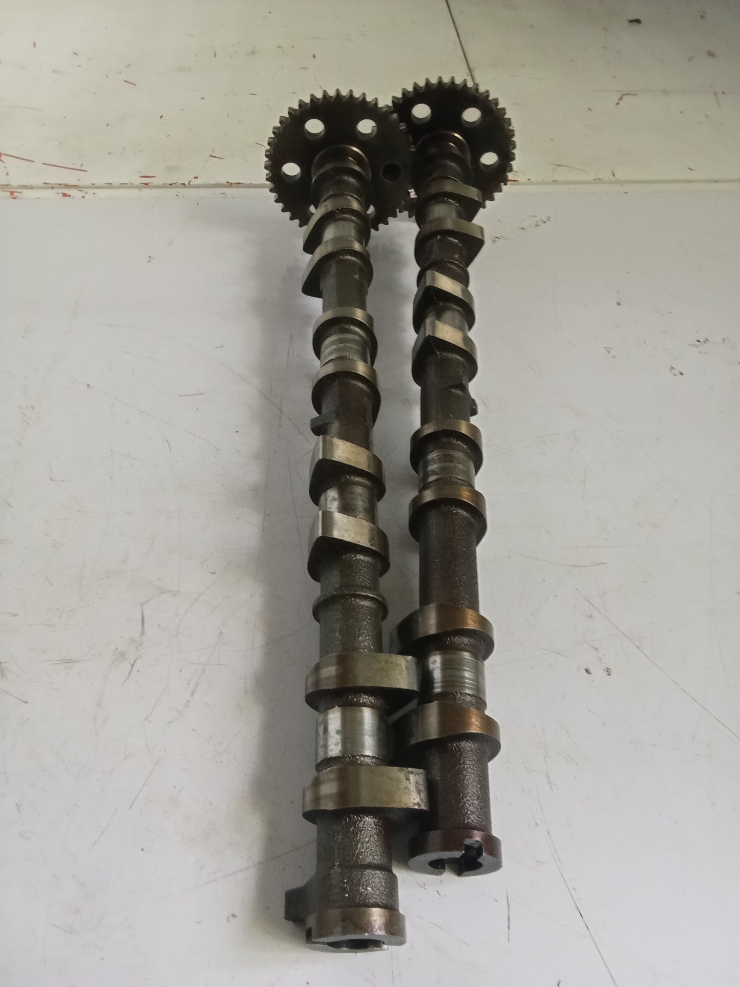Intake | Exhaust Camshaft | Ford Focus 2.0