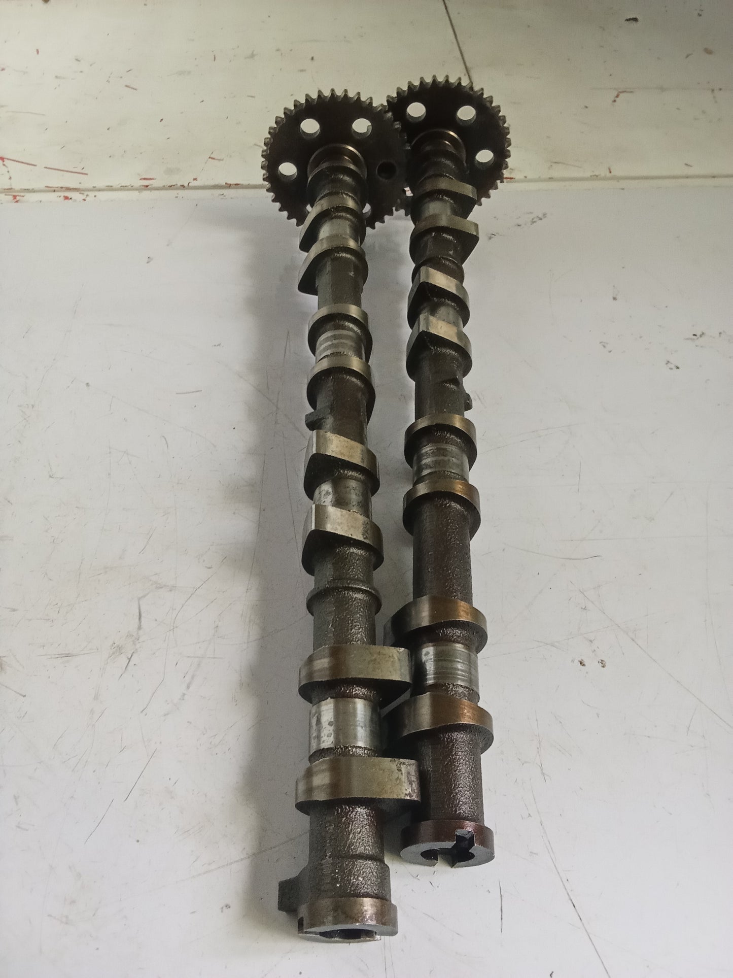 Intake | Exhaust Camshaft | Ford Focus 2.0