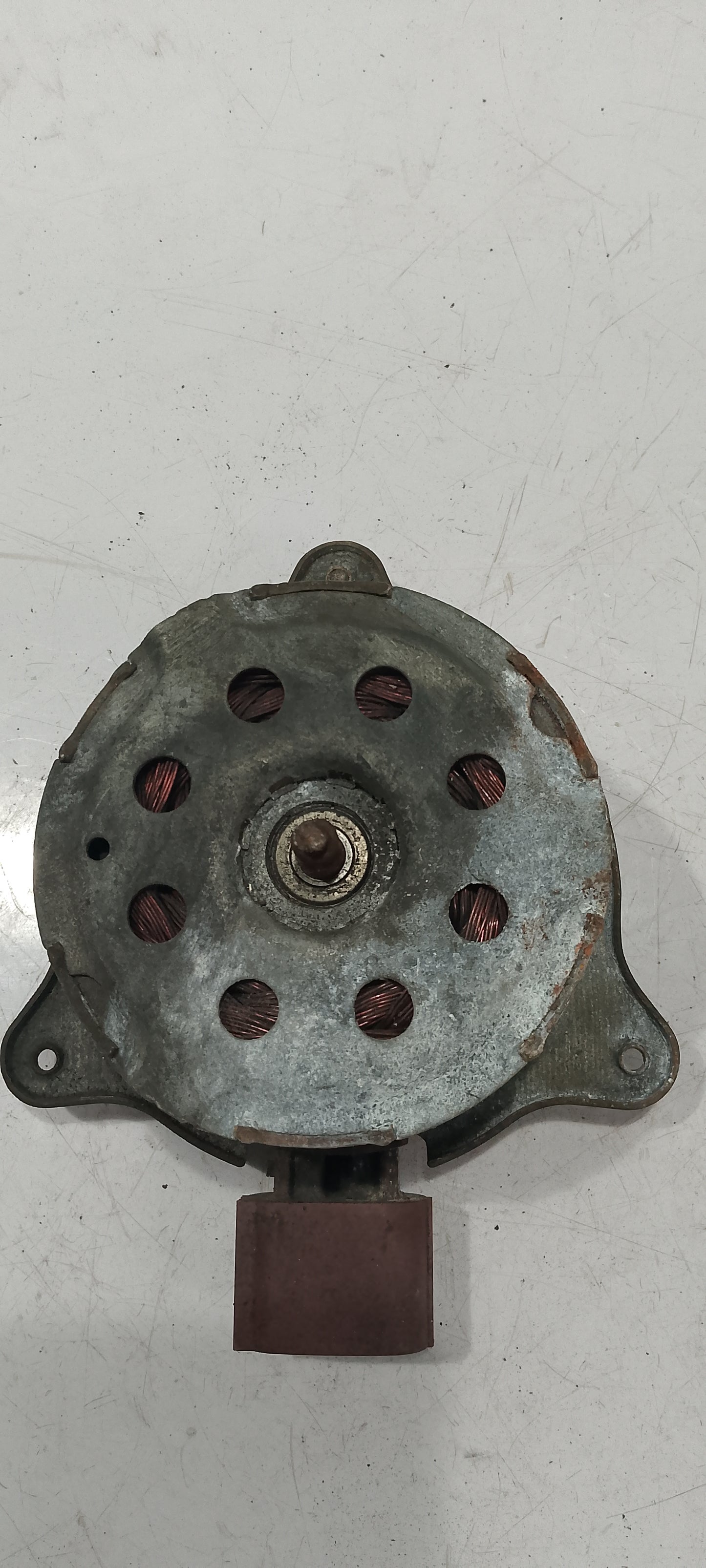 Fan Motor | Ford Focus
