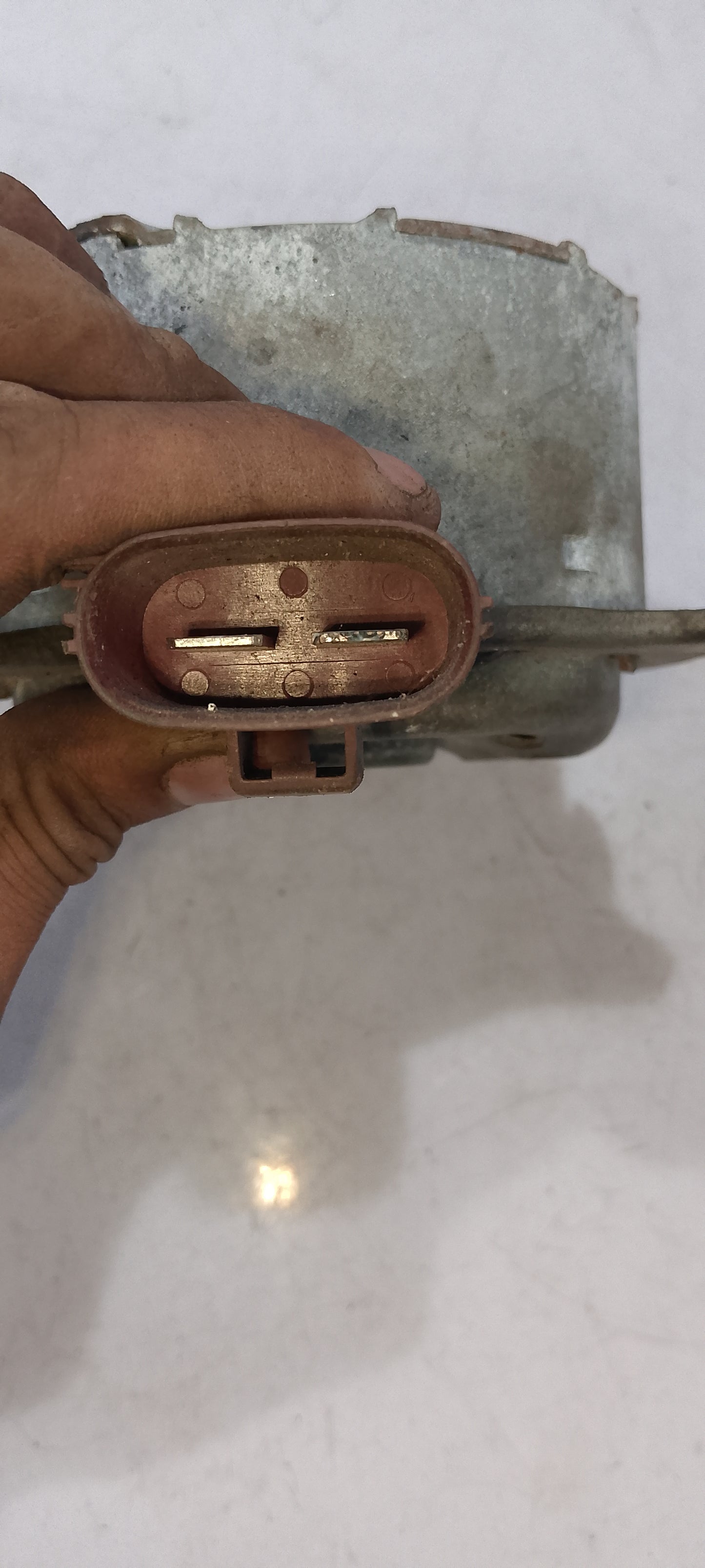 Fan Motor | Ford Focus