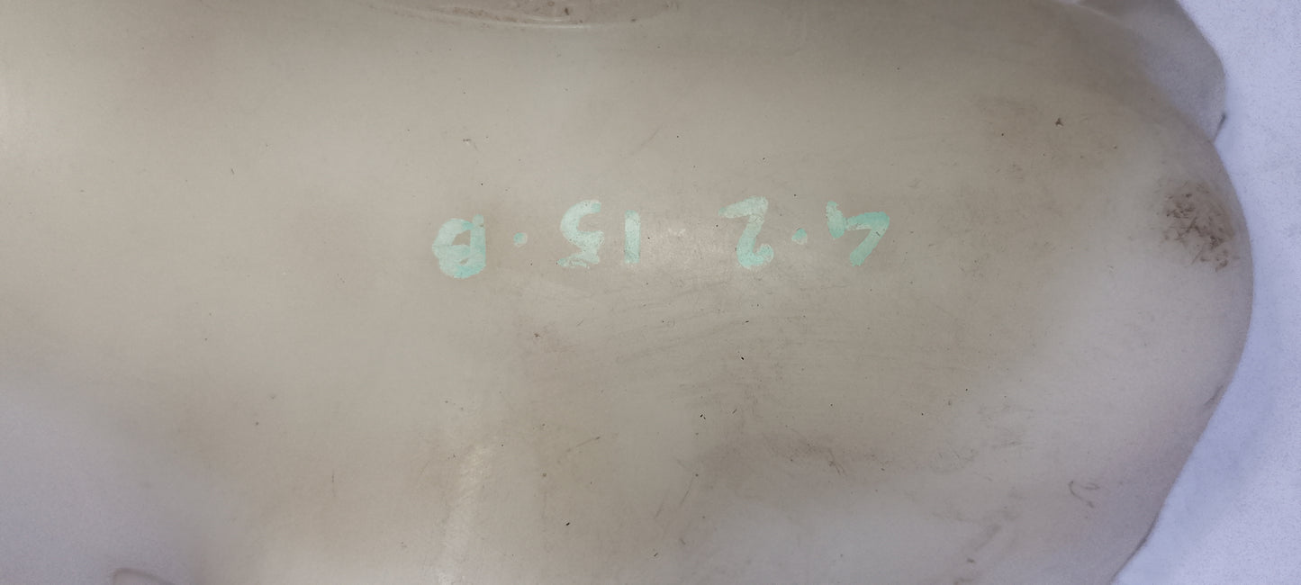 Washer Tank|Ford Fiesta