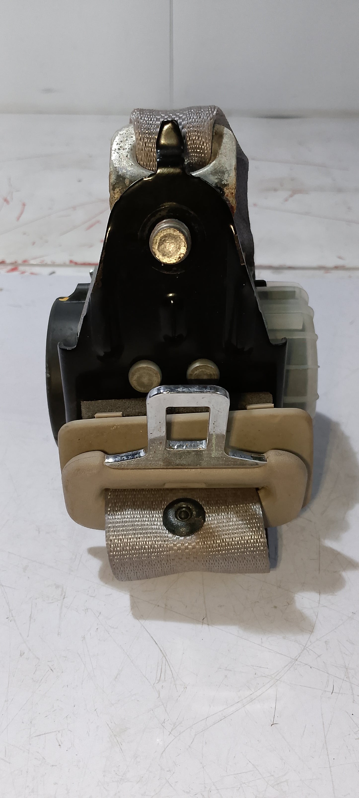 Seatbelt|Nissan sylthy