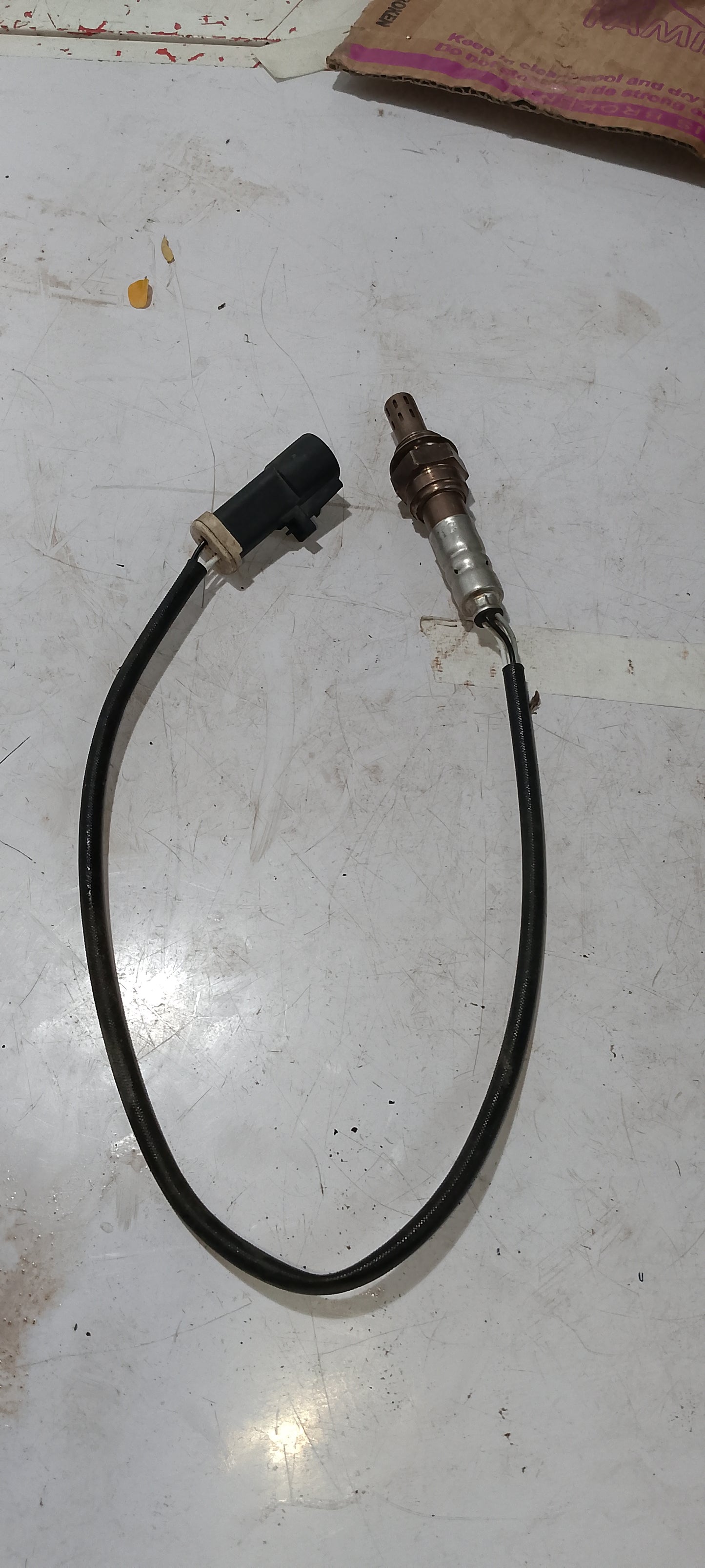 Oxgn sensor EcoSport