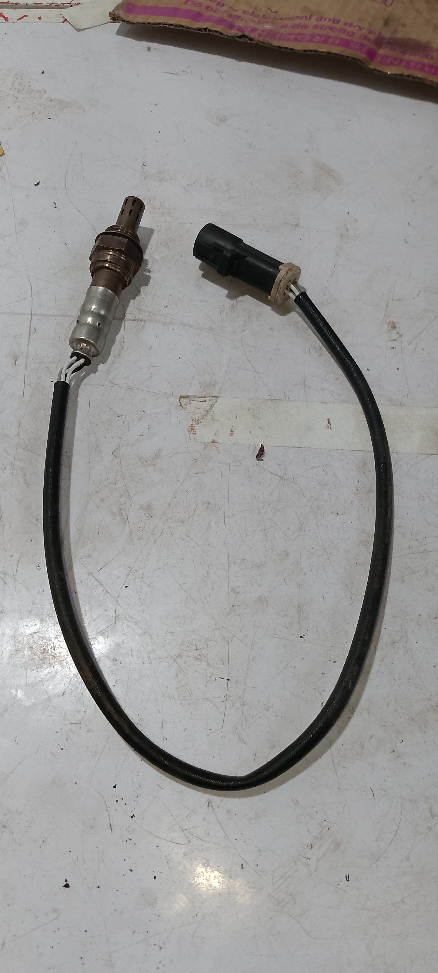 Oxgn sensor EcoSport