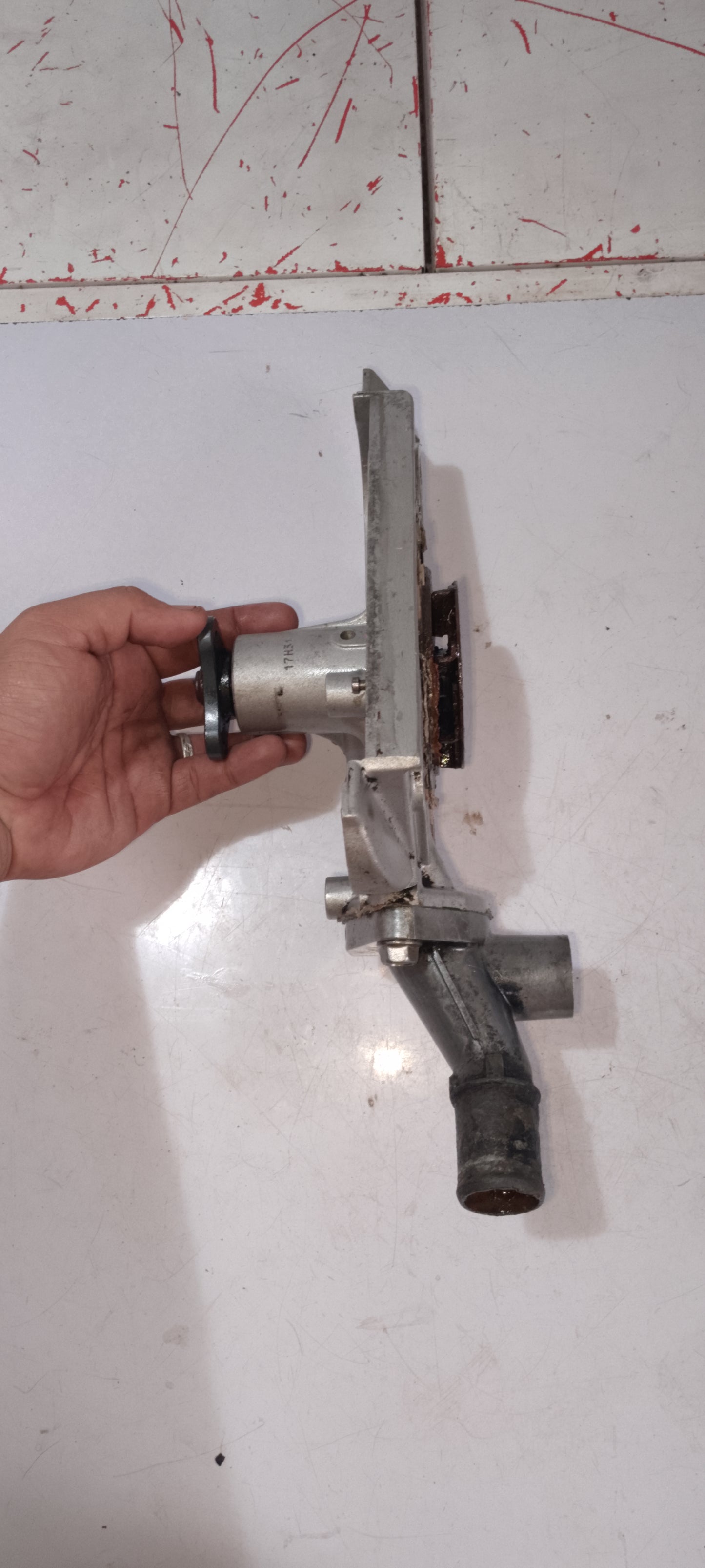 Water Pump | Ford Lynx