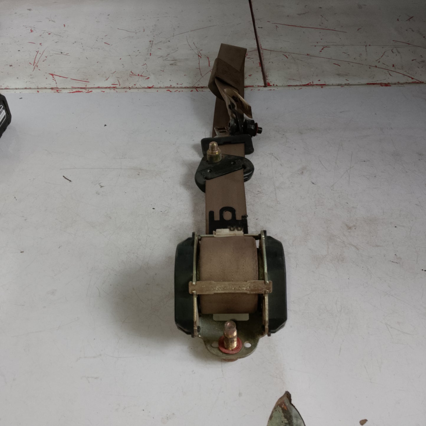 Seat Belt | Ford Escape 2.3