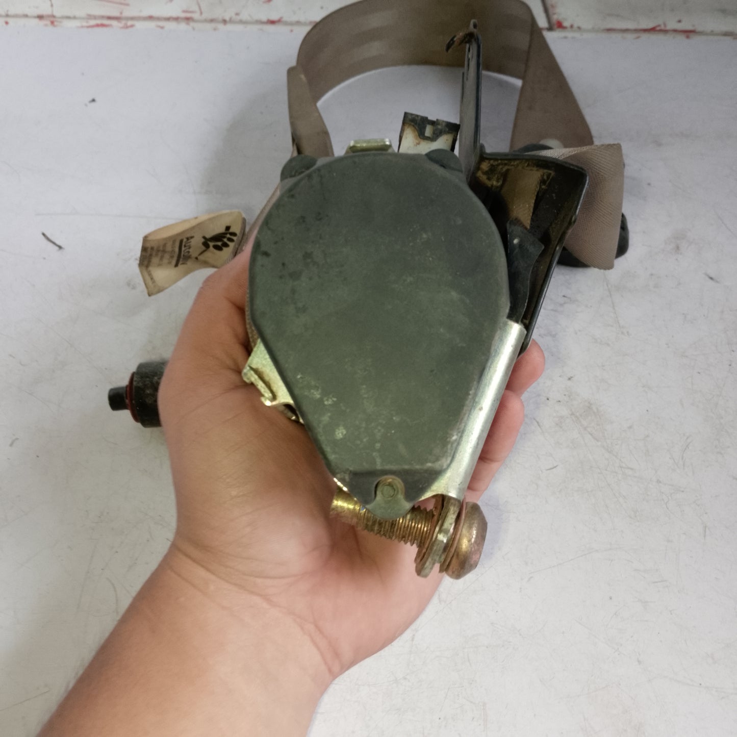 Seat Belt | Ford Escape 2.3