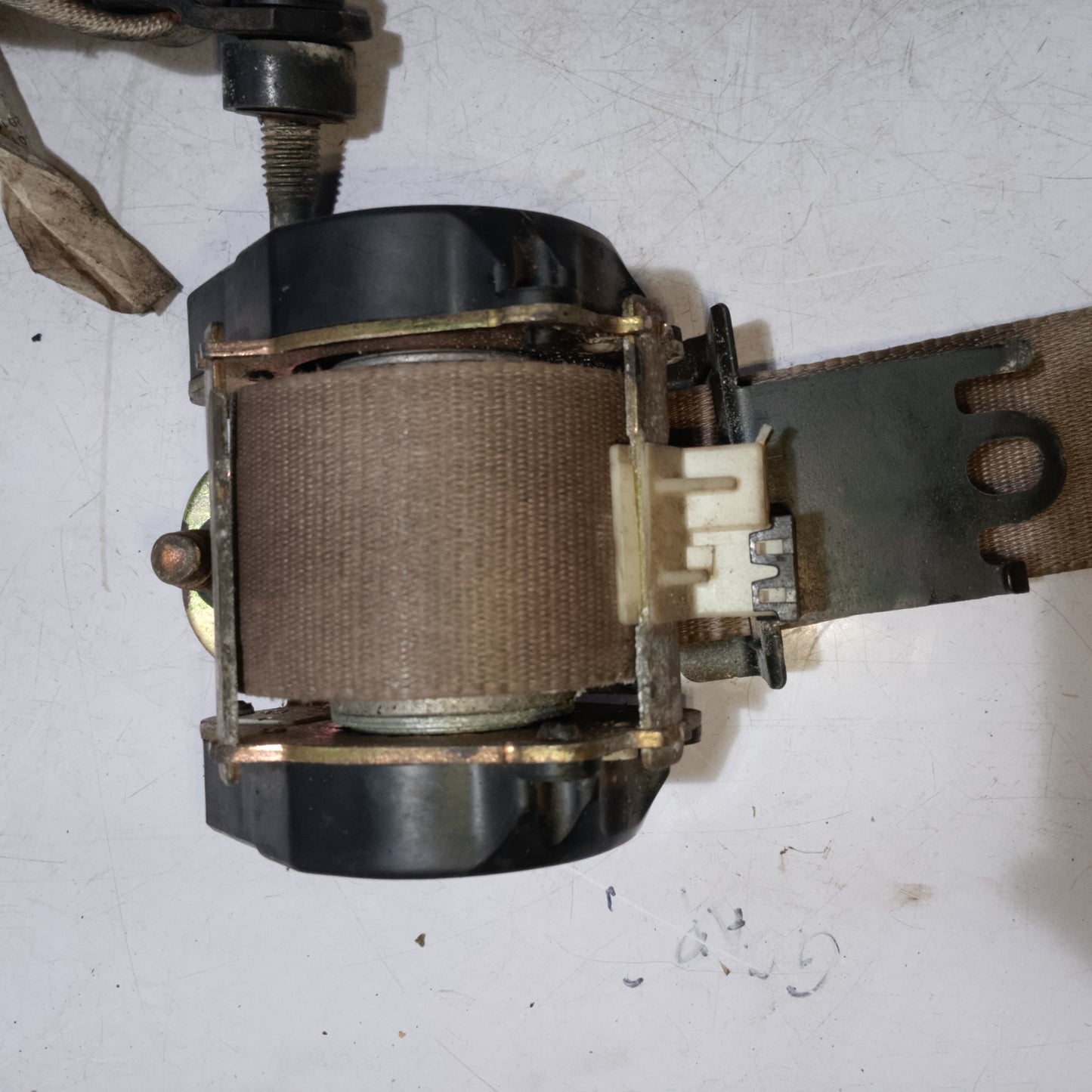 Seat Belt | Driver Side | Ford Escape 2.0