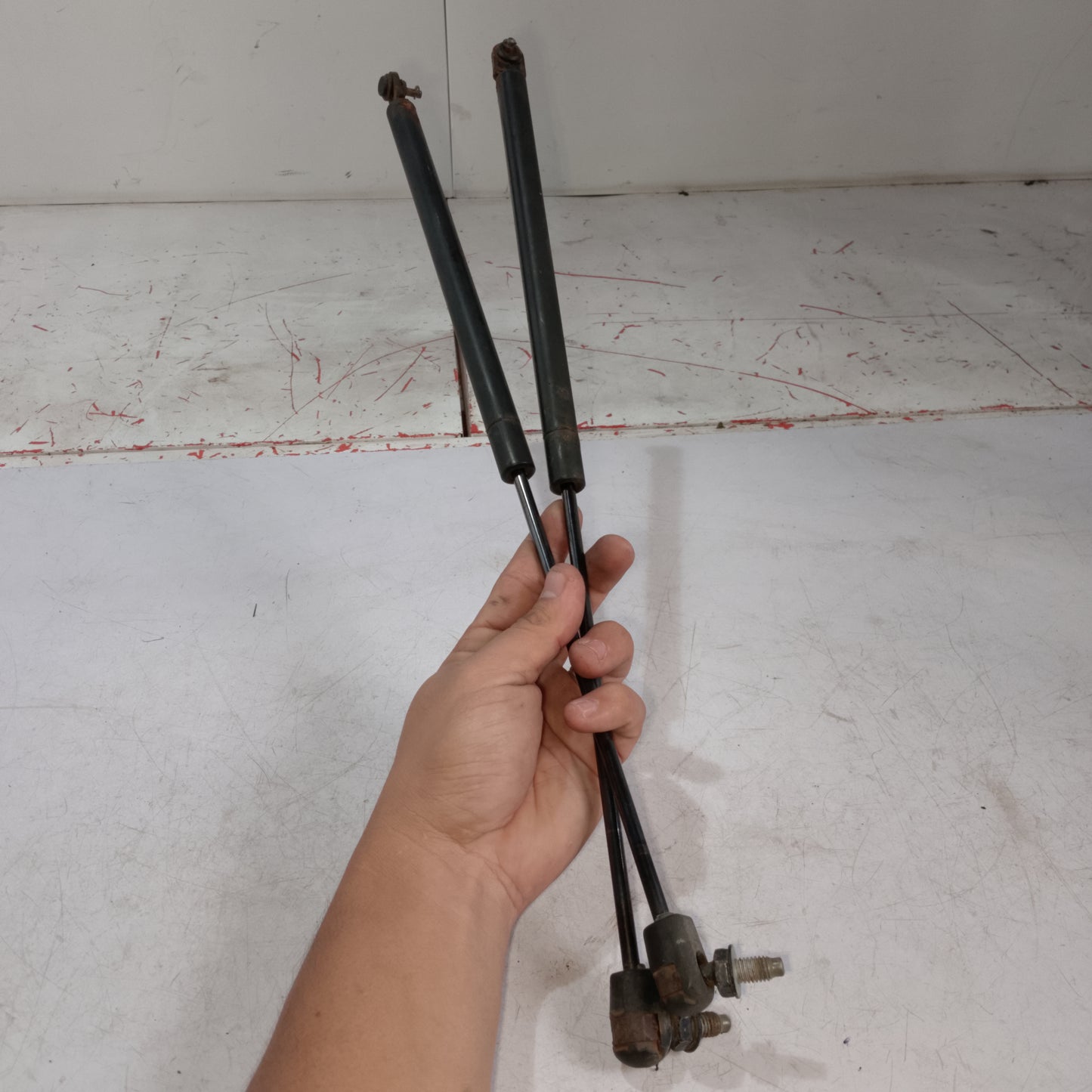 Tail Gate Lifter Left And Right | Expedition