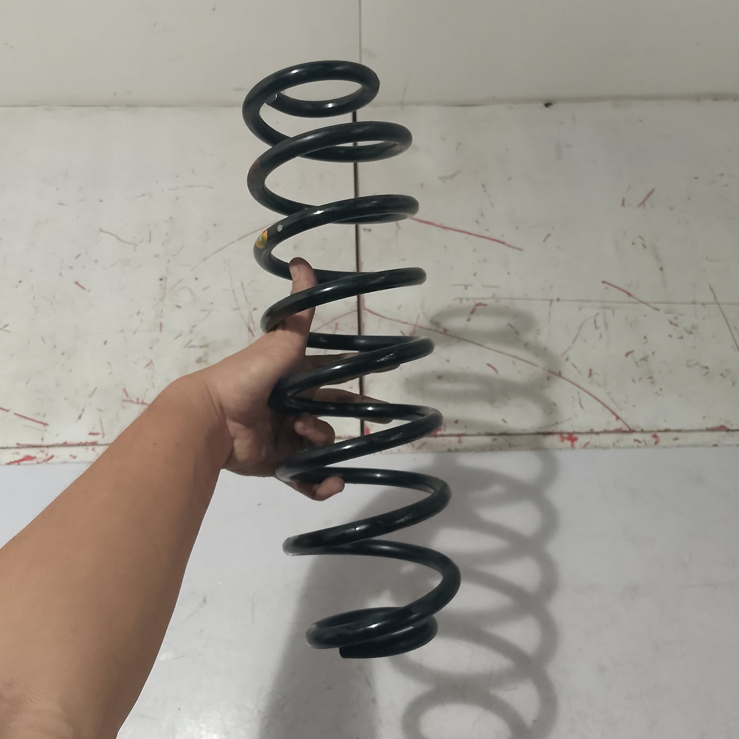 Coil Spring Rear Driver Side | Ecosport