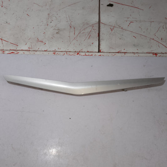 Side Door Trim | Front Driver Side | Ecosport