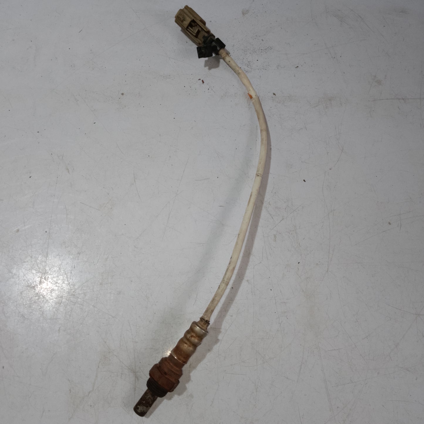 Oxygen Sensor Bank 1 | Ecosport
