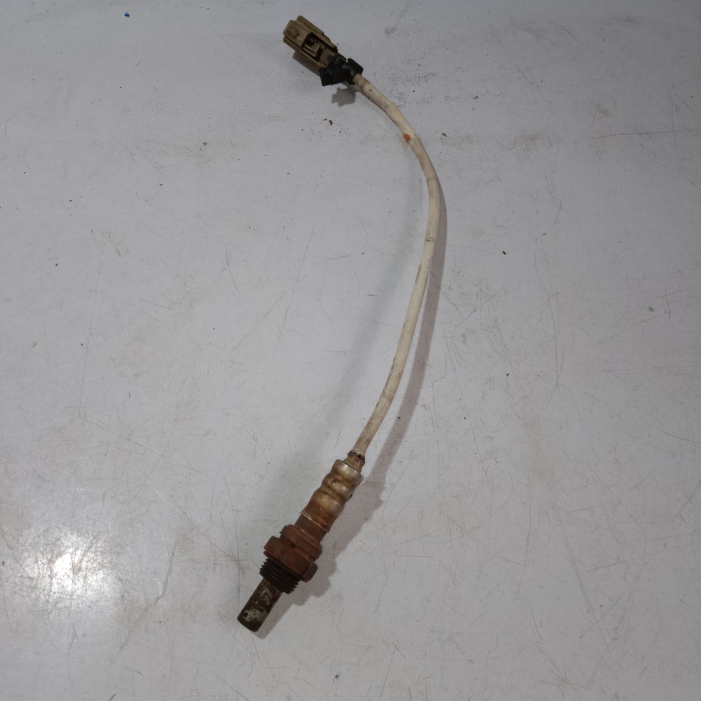 Oxygen Sensor Bank 1 | Ecosport