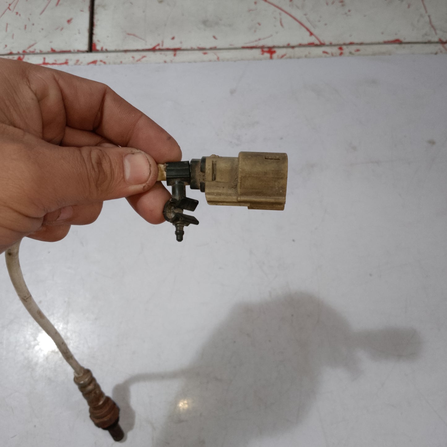 Oxygen Sensor Bank 1 | Ecosport