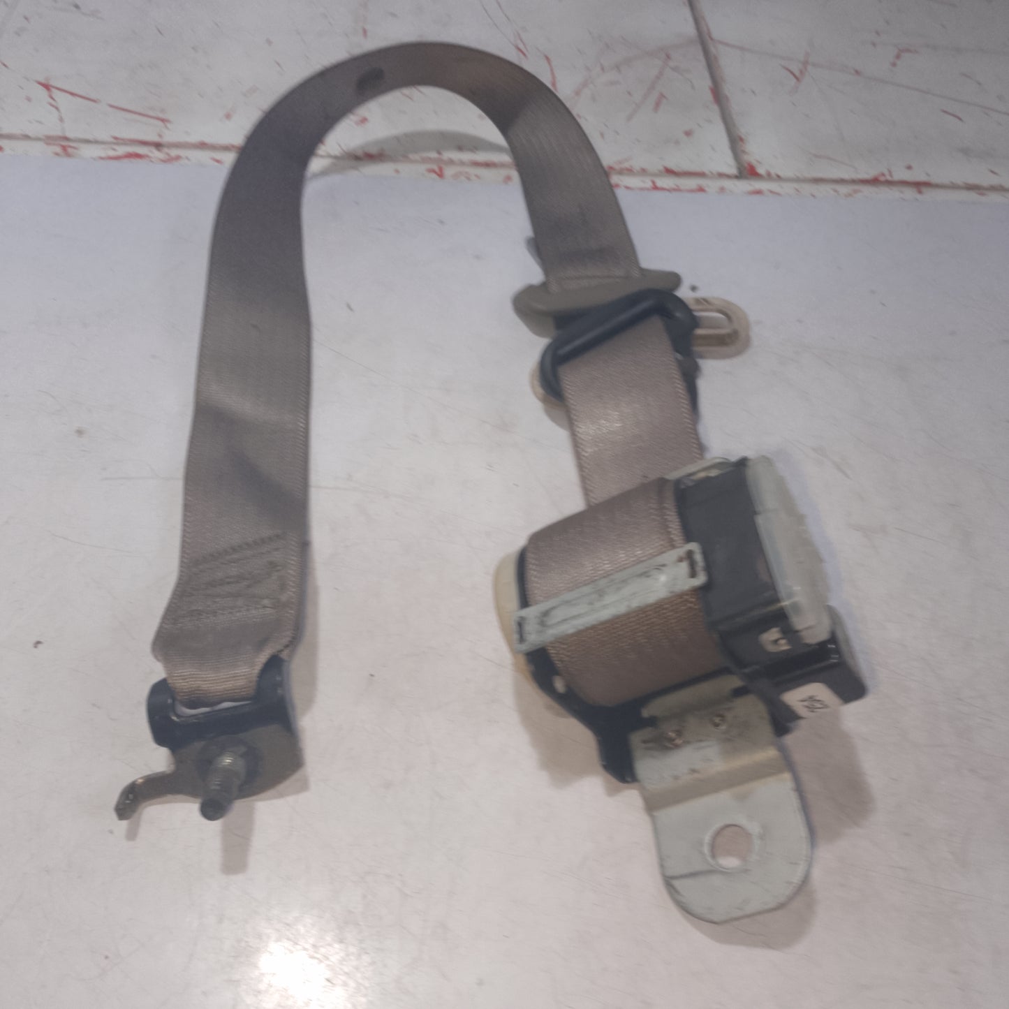 Seat Belt | Rear Passenger Side | Explorer