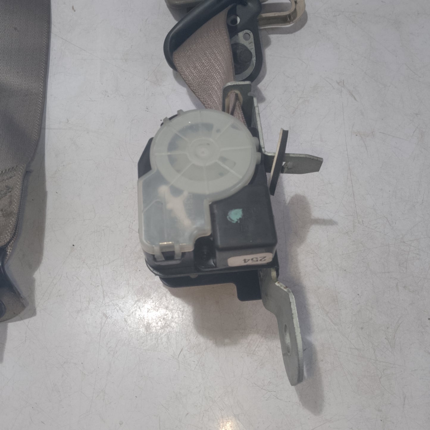 Seat Belt | Rear Passenger Side | Explorer