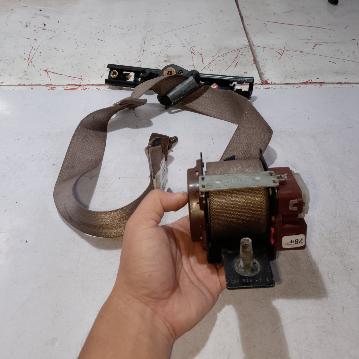 Seat Belt | Front Passenger Side | Explorer