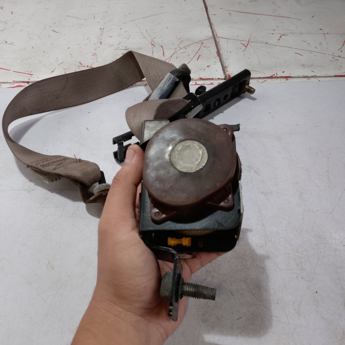 Seat Belt | Front Driver Side | Explorer