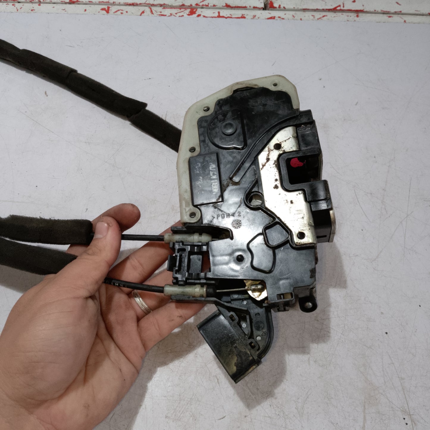 Door Lock Actuator | Front Passenger Side | Nissan Almera