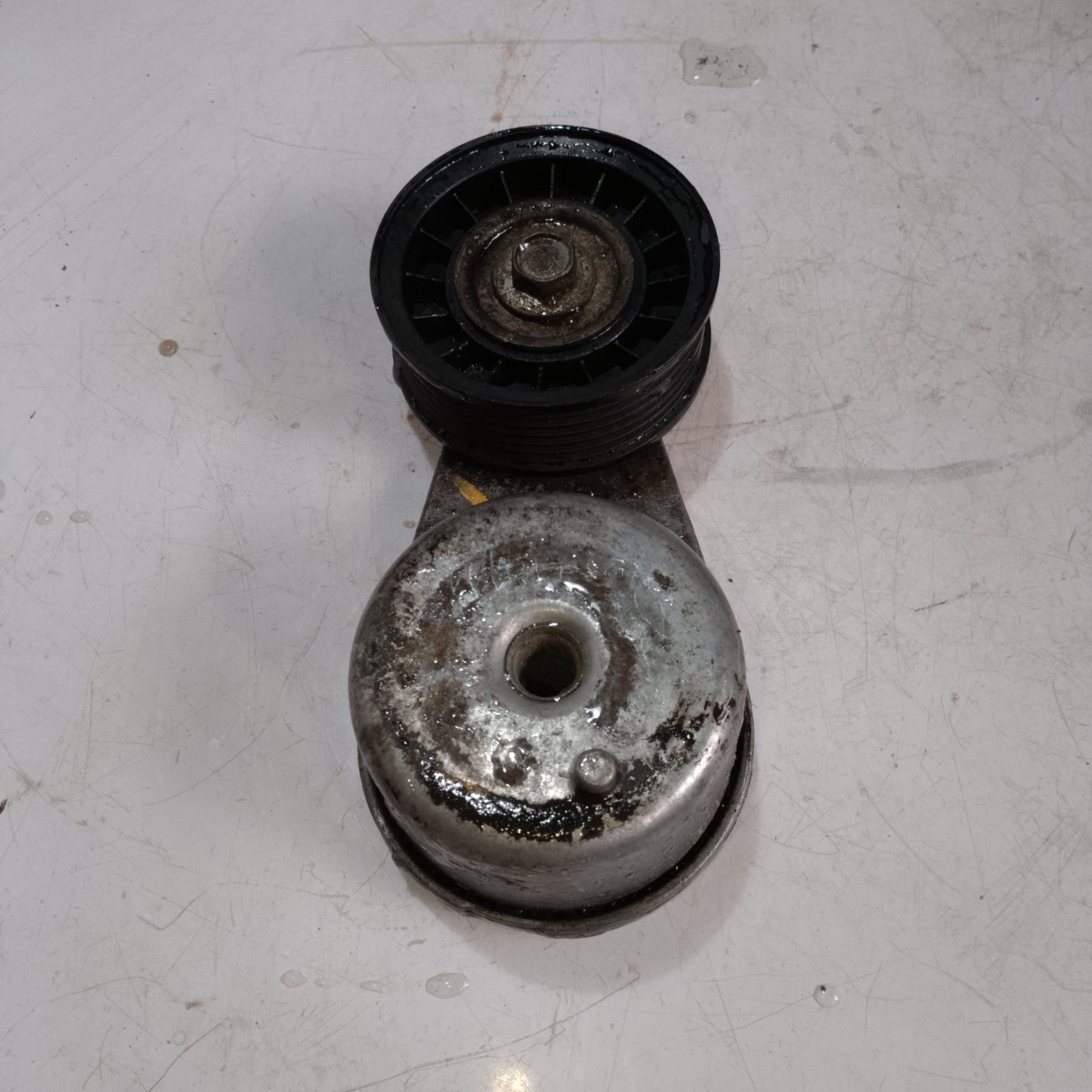 Belt Tensioner | Expedition
