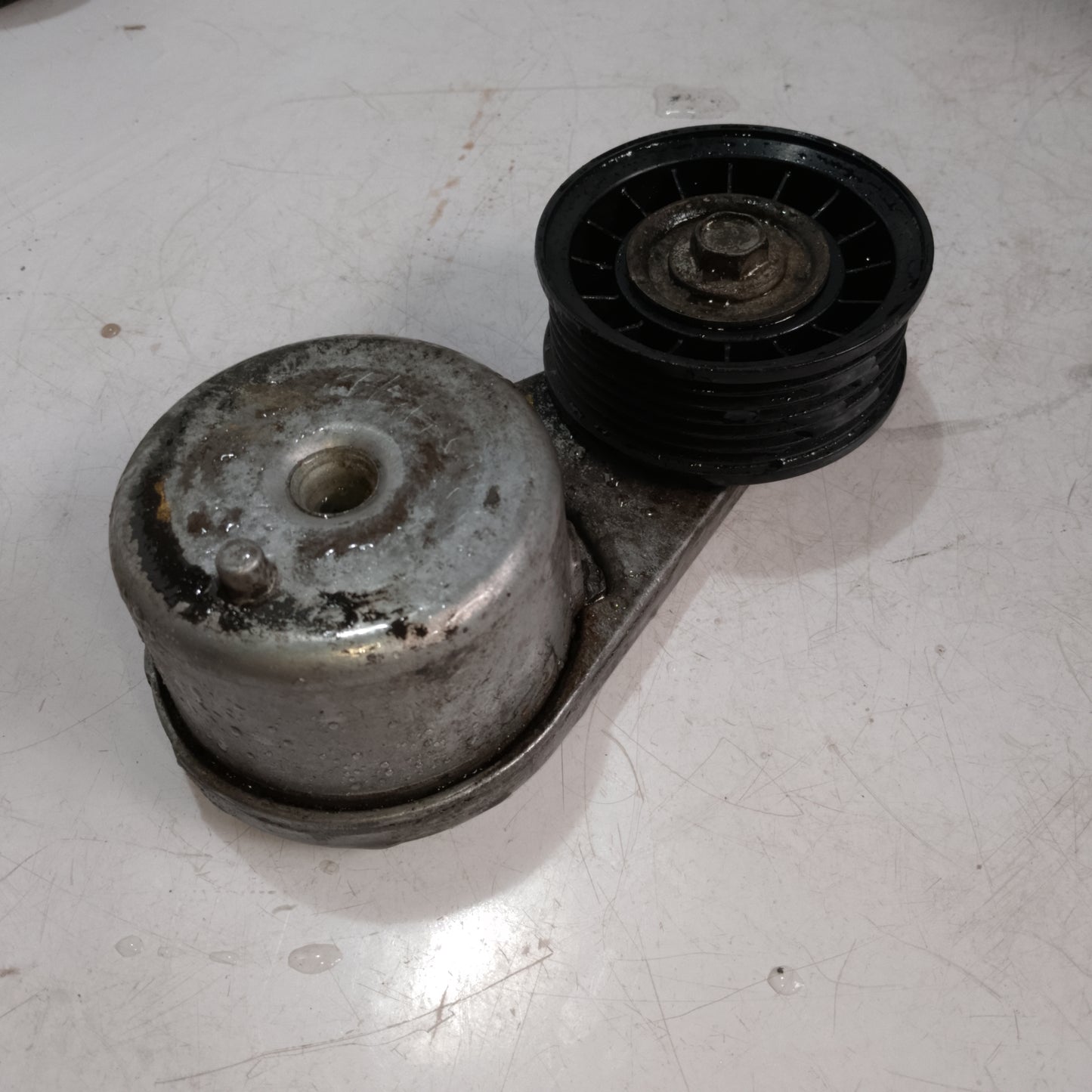 Belt Tensioner | Expedition