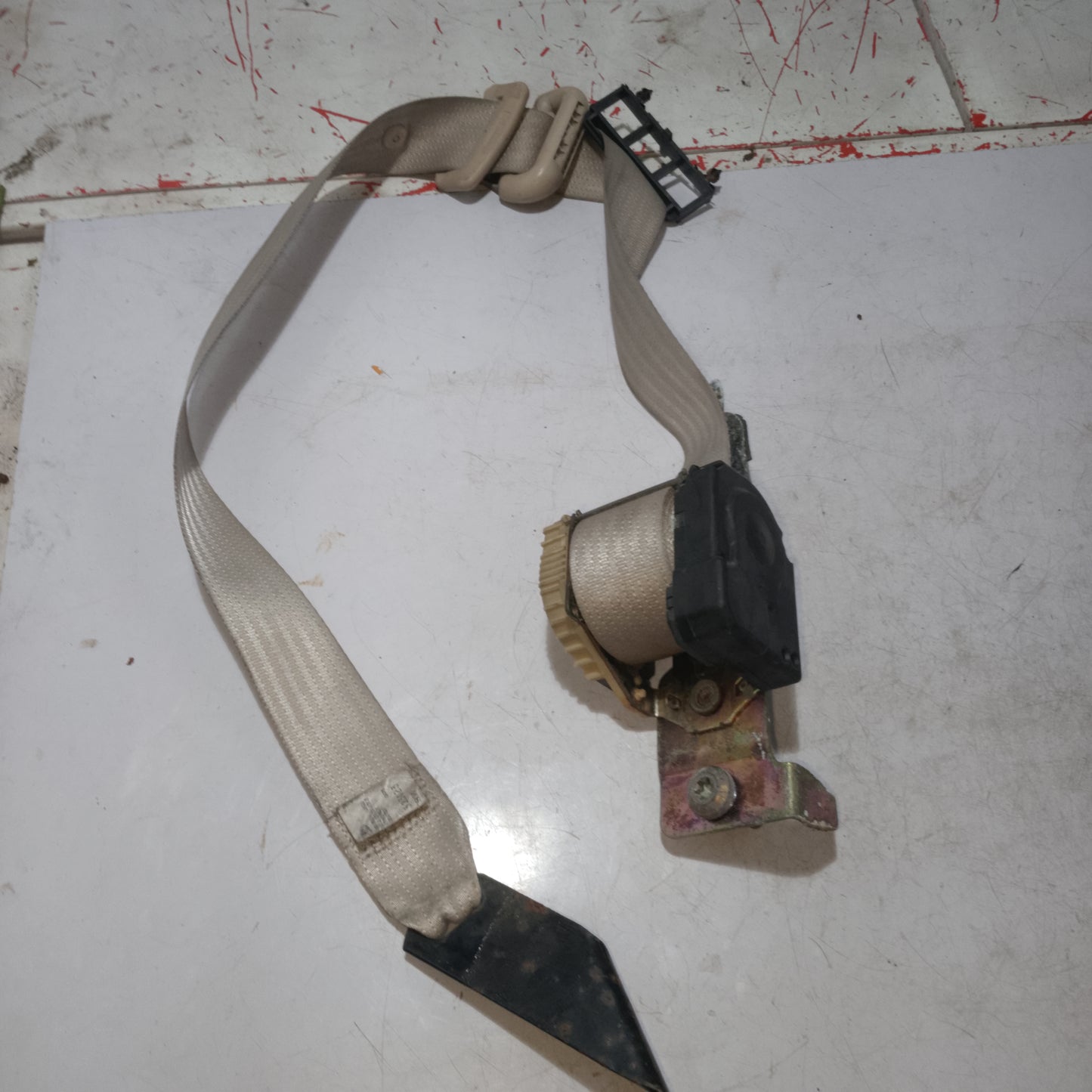 Seatbelt | Rear Passenger Side | Expedition