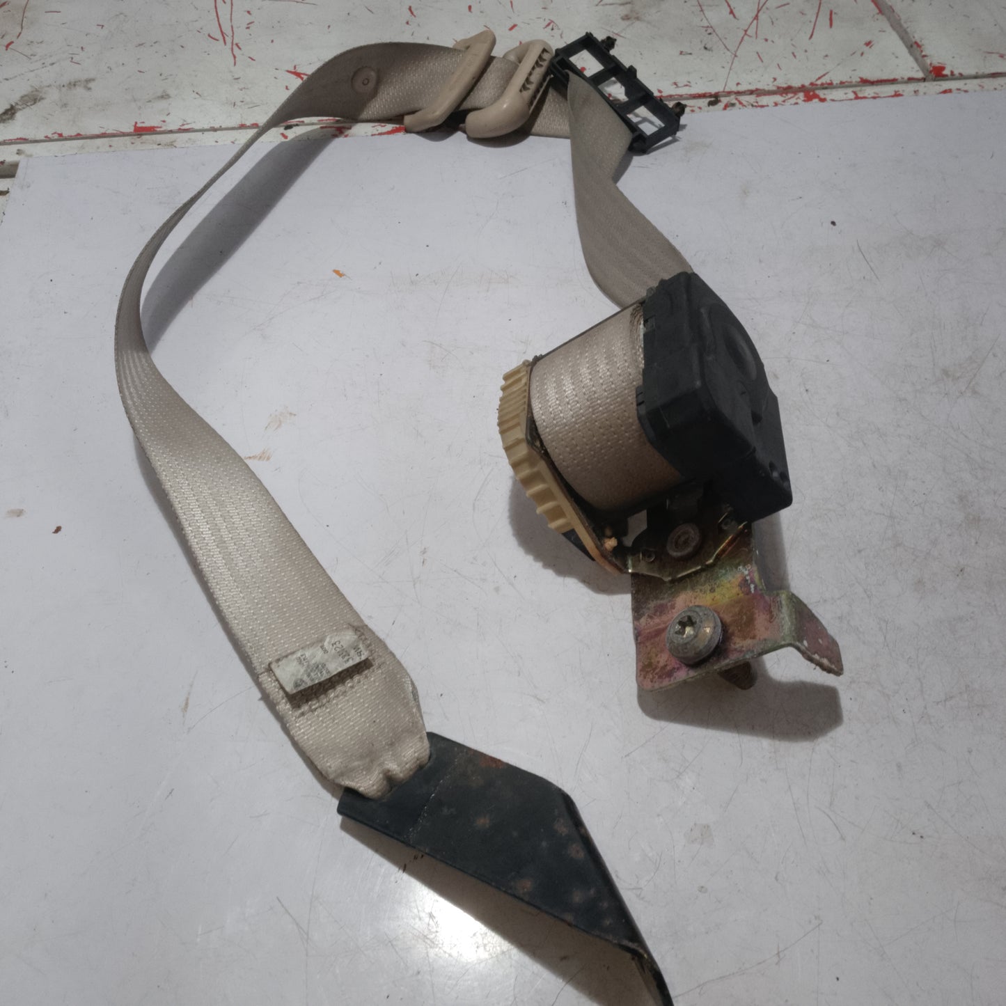 Seatbelt | Rear Passenger Side | Expedition