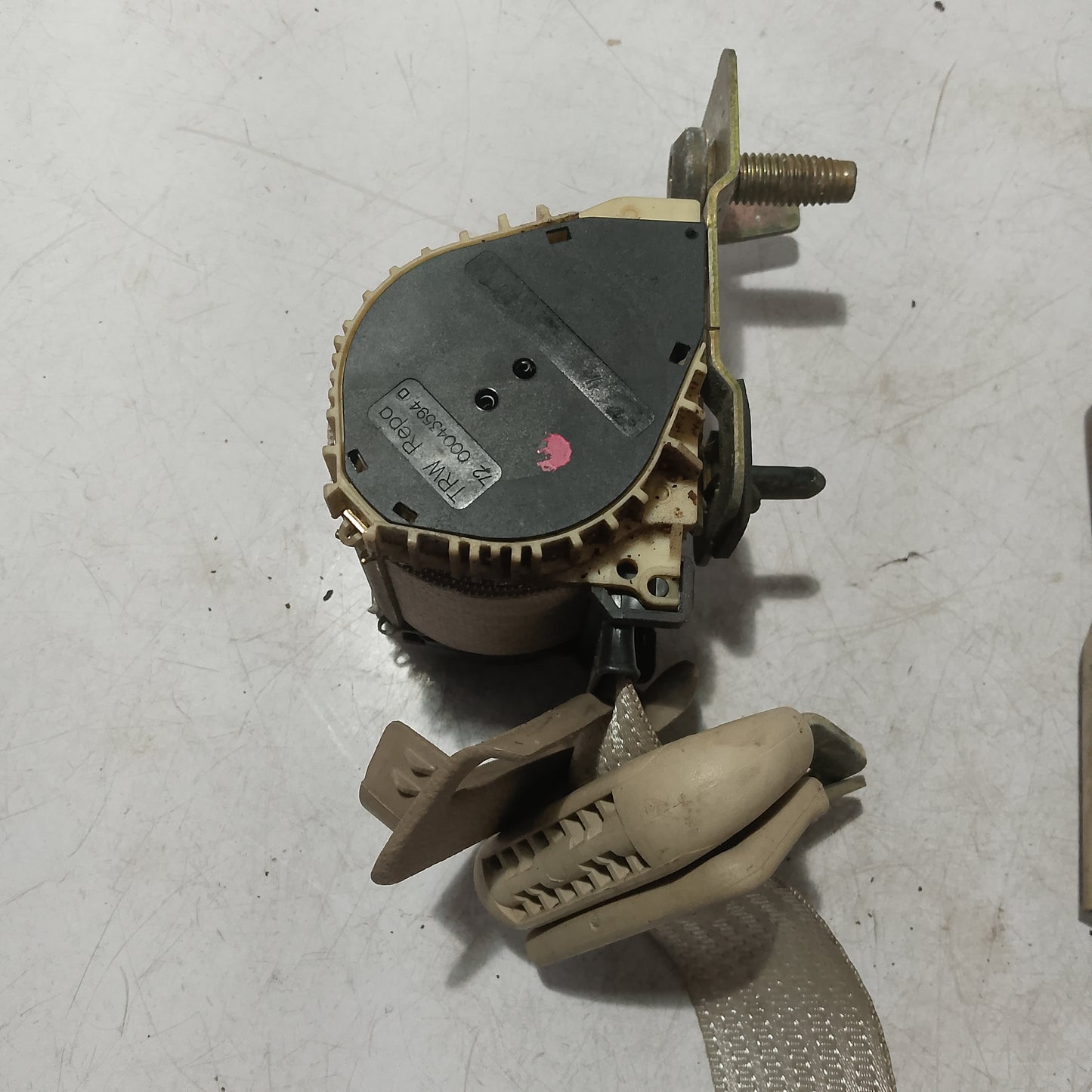 Seatbelt R/D/S | Ford Expedition