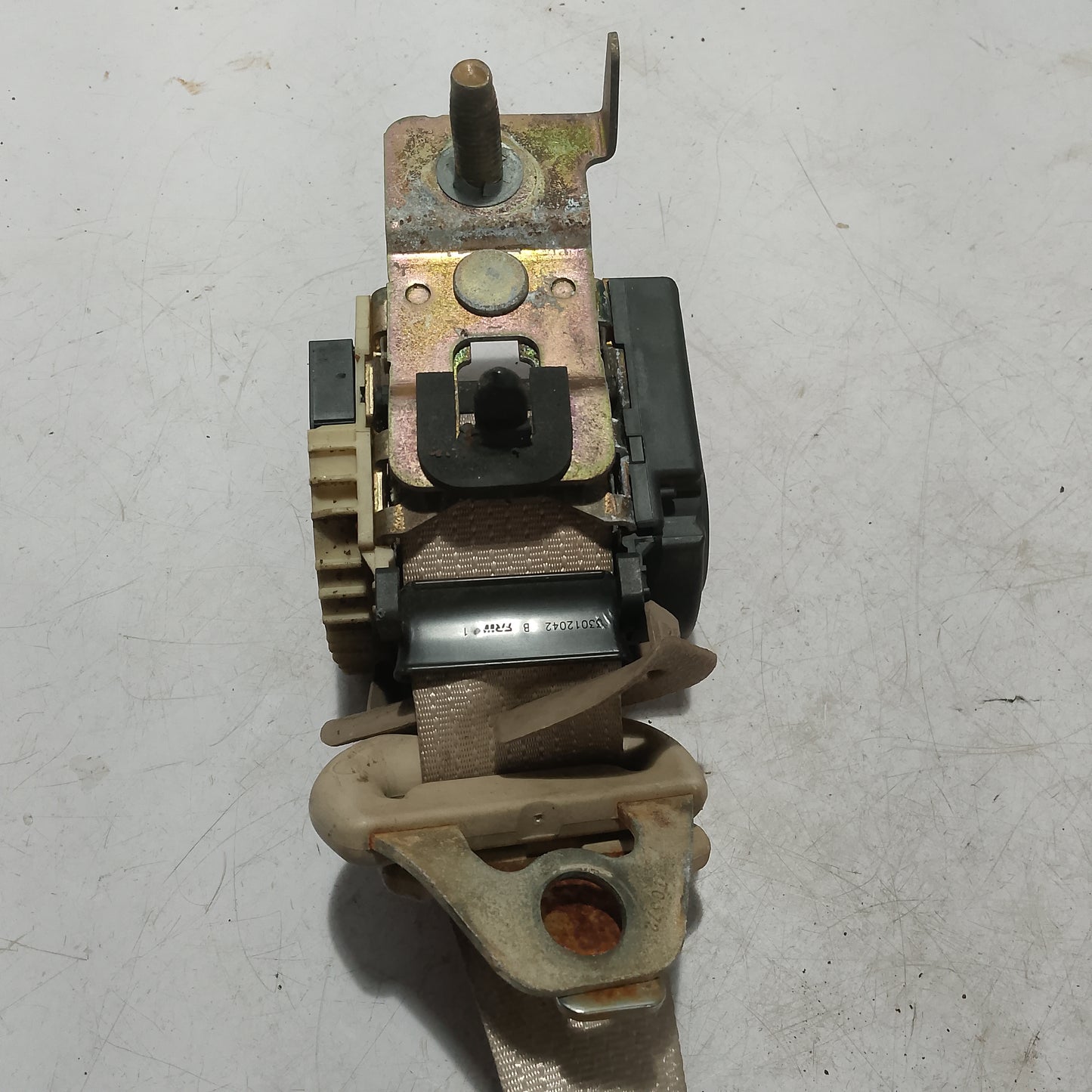 Seatbelt R/D/S | Ford Expedition