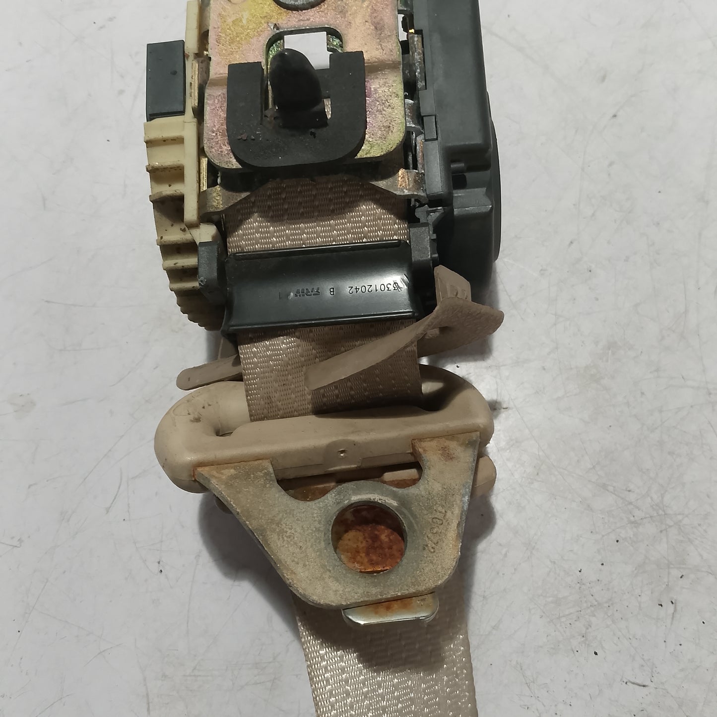 Seatbelt R/D/S | Ford Expedition