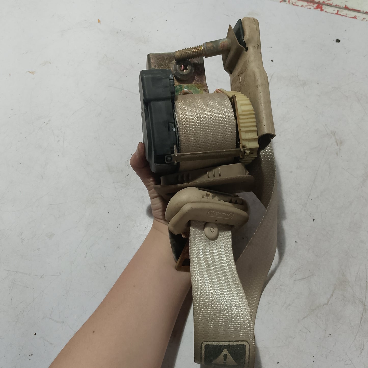 Seatbelt R/D/S | Ford Expedition