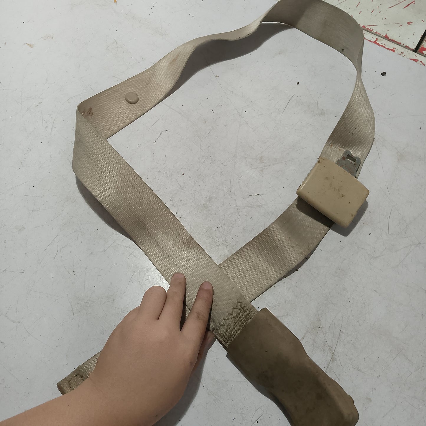 Seatbelt R/P/S | Ford Expedition
