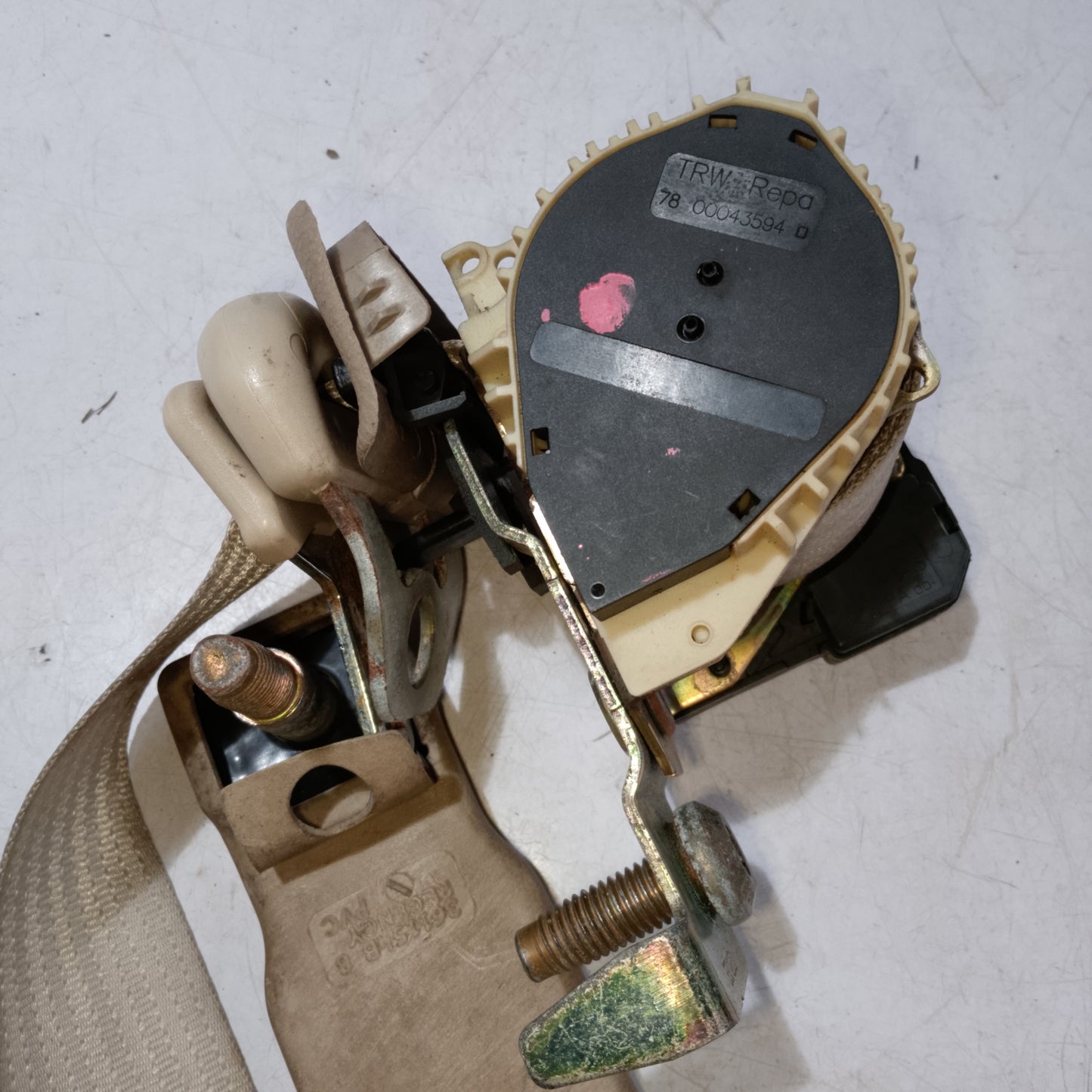 Seat belt rear passenger side ford expidition