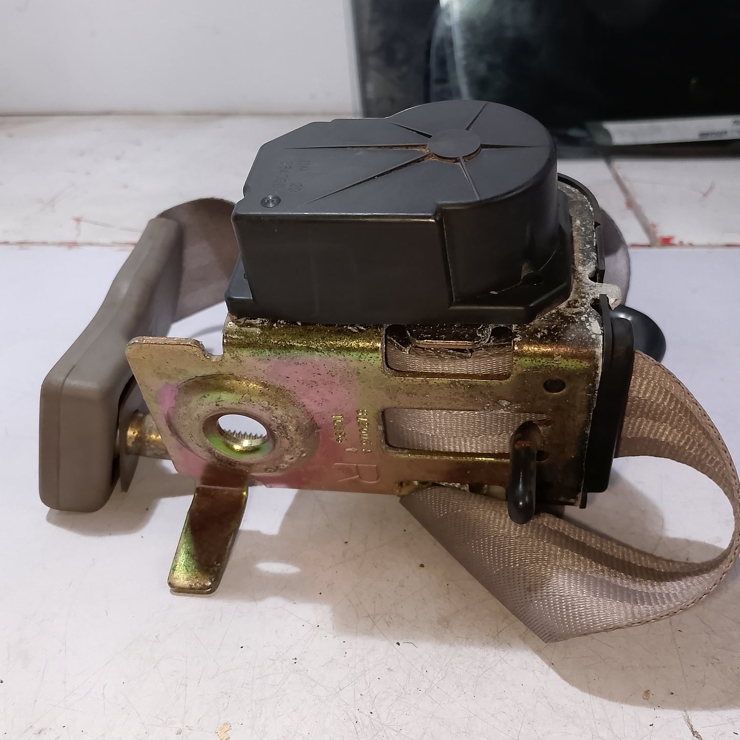 Seatbelt Assembly 2nd Row R/P/S | Expedition