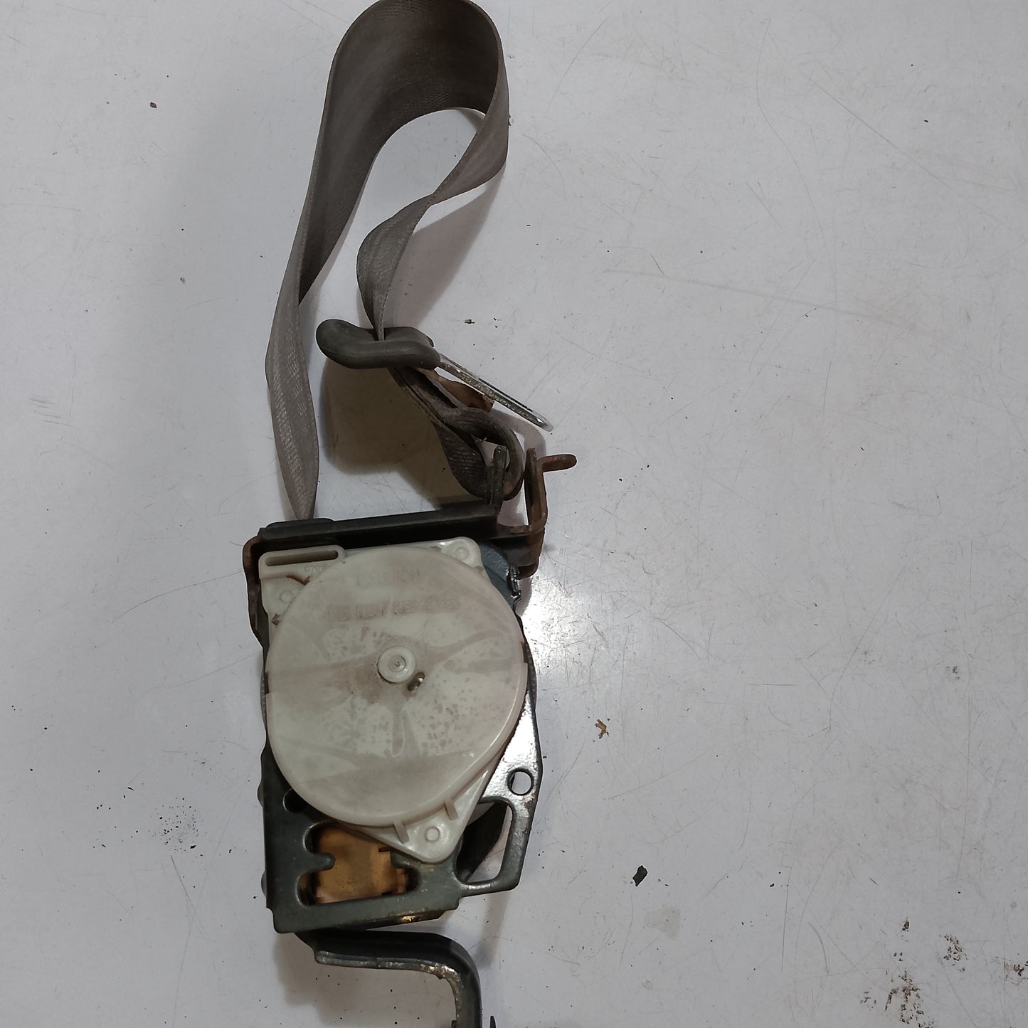 Seatbelt R P S Honda Accord