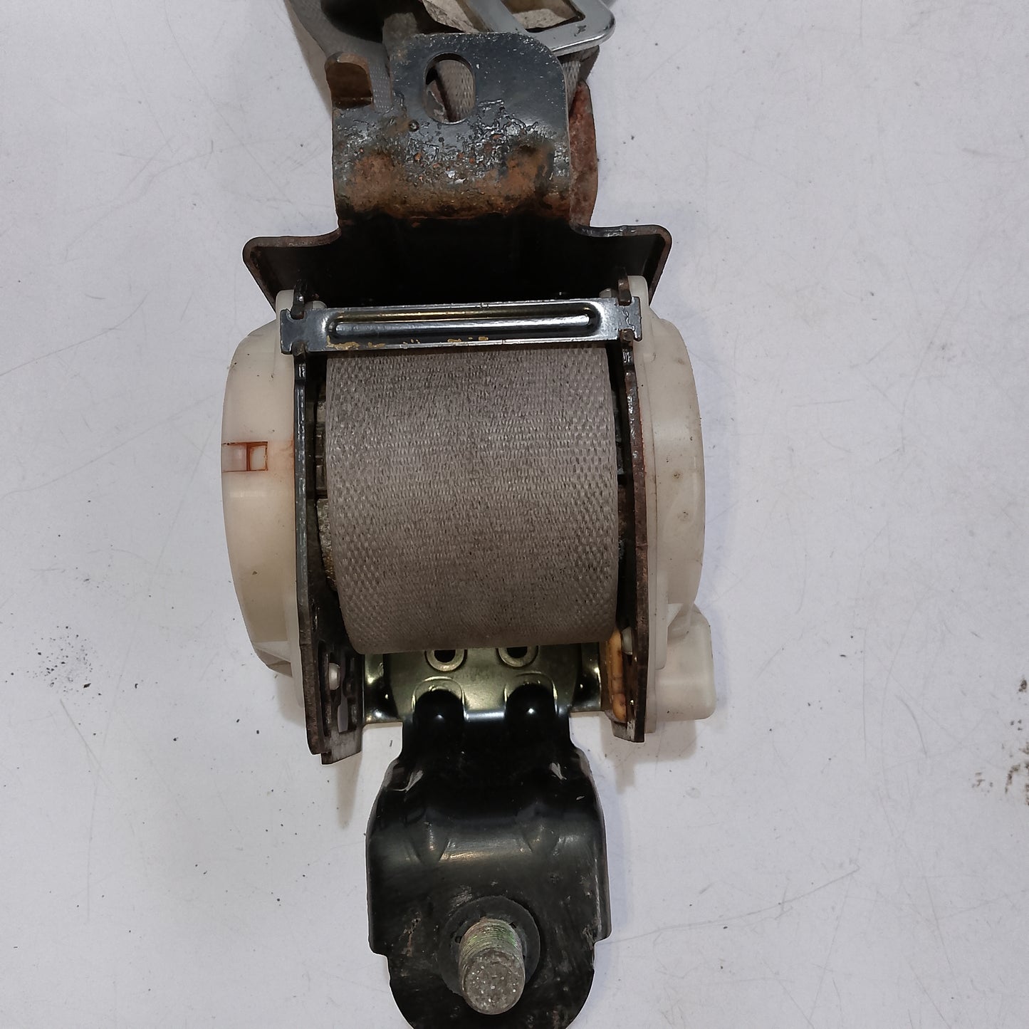 Seatbelt R P S Honda Accord