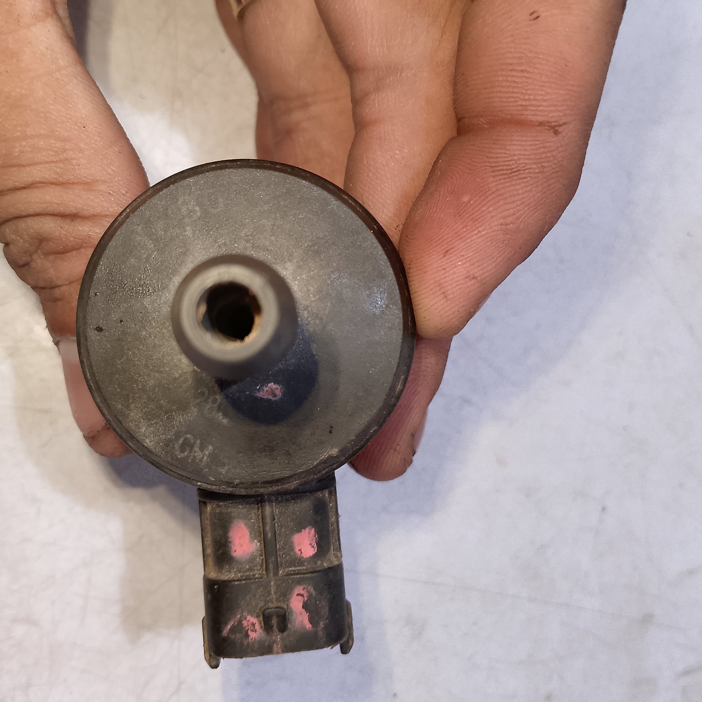 Purge valve control focus 2.0