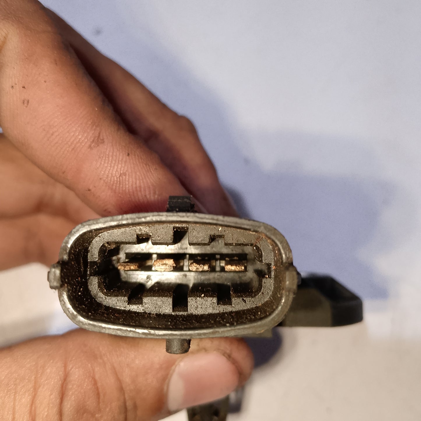 Mop Sensor Ford Everest