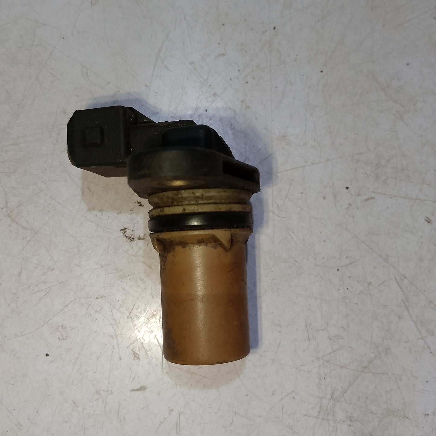 Camshaft sensor focus 2.0