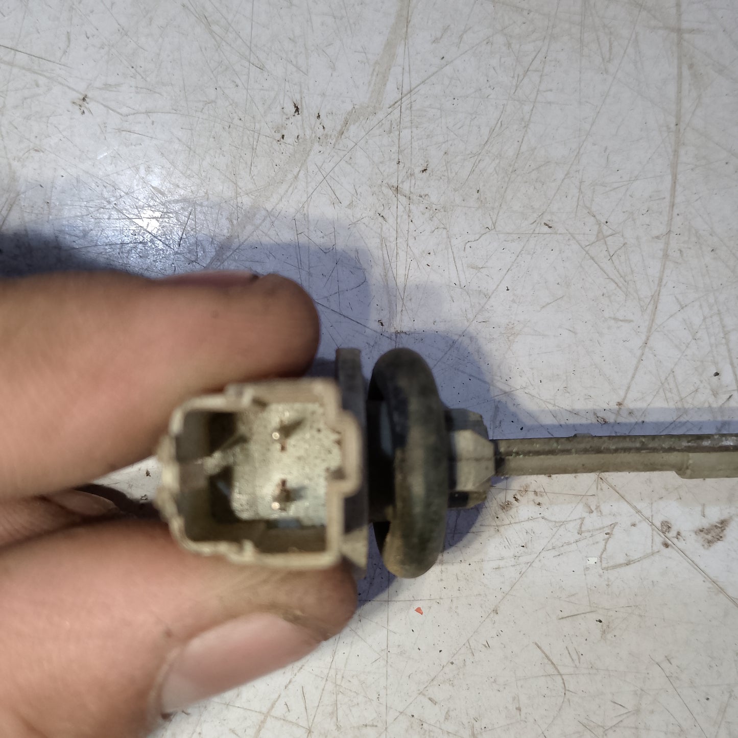 Tire pressure Sensor Ford Focus gas