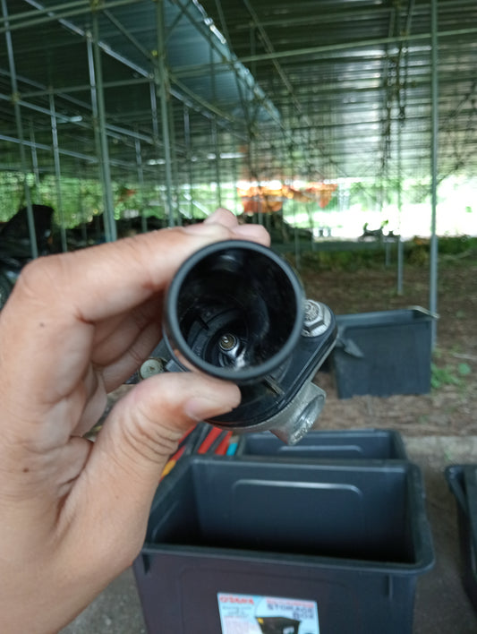 Hyundai Accent | Gas | Thermostat Housing