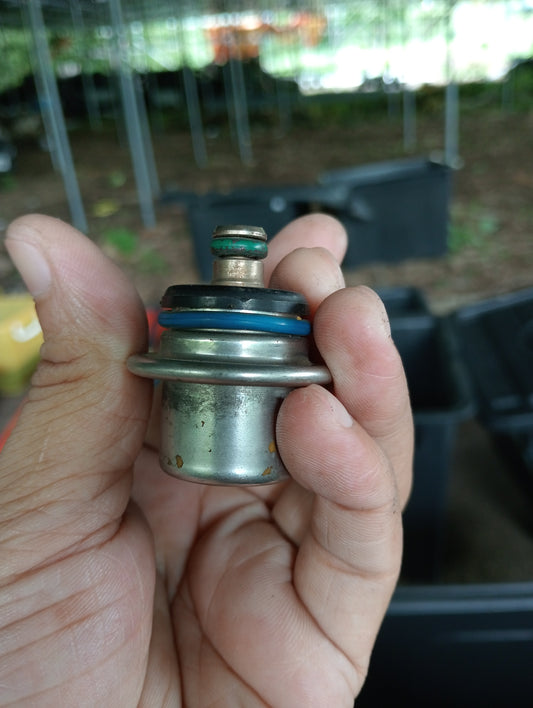 Ford E150 | Fuel Pressure Regulator
