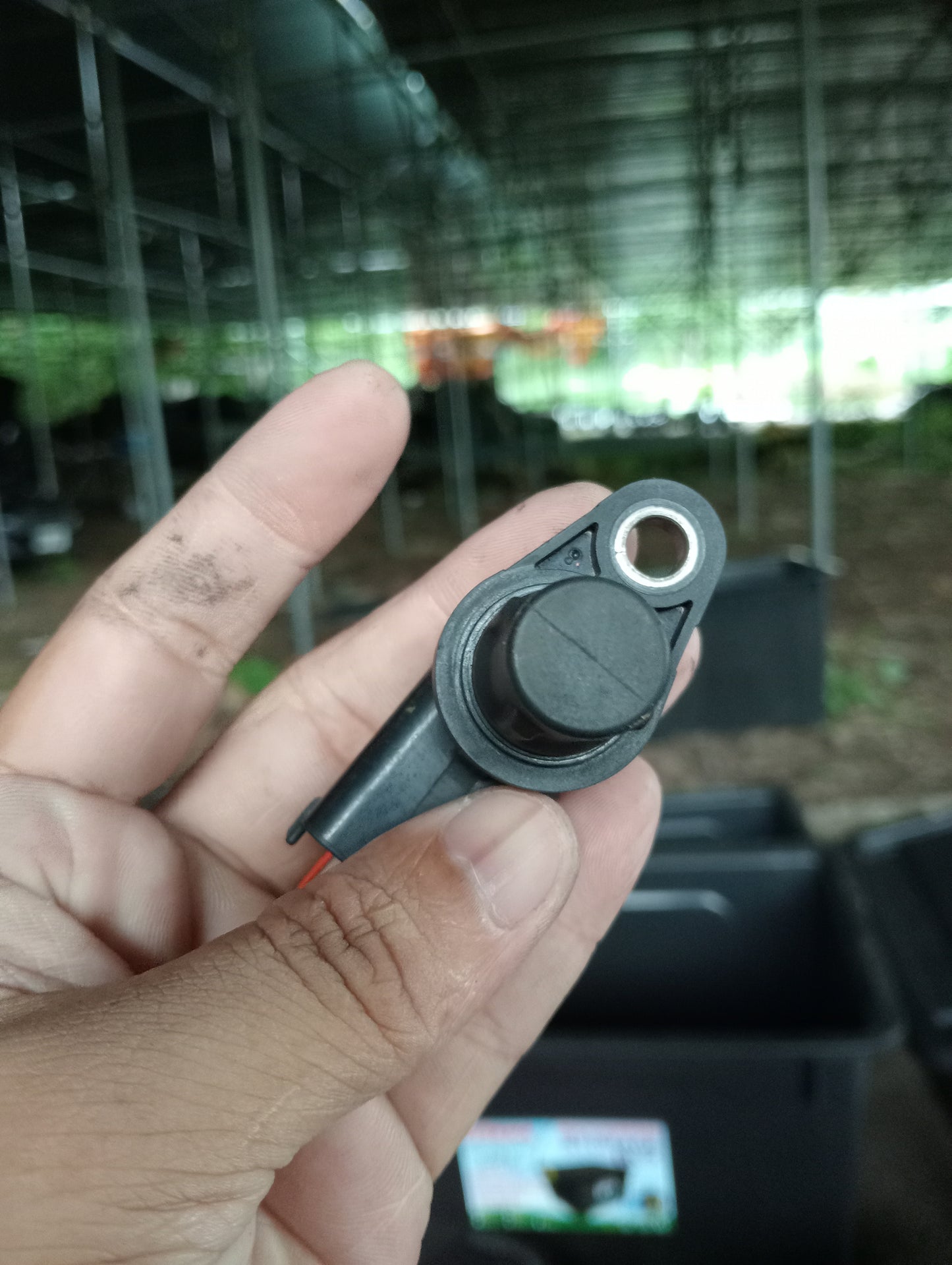 Ford Focus | 2.0 | Camshaft Sensor