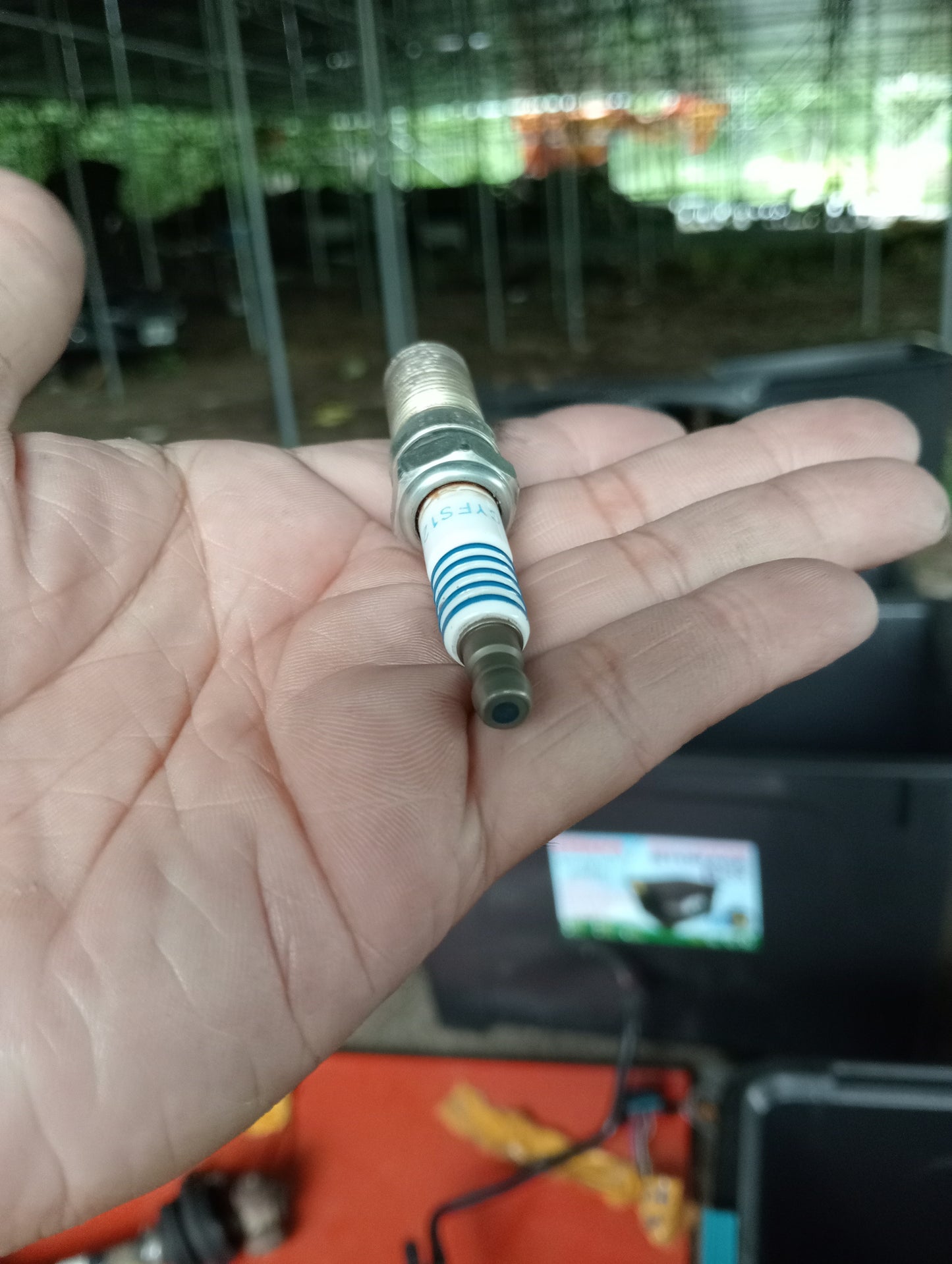Ford Focus | 2.0 | 1pc Spark Plug