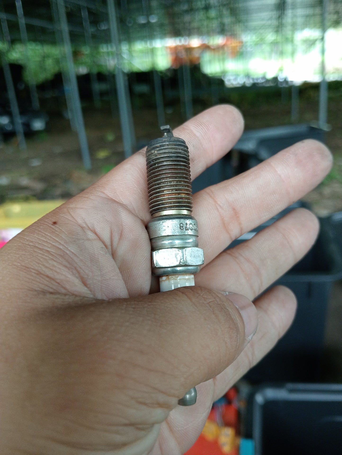 Ford Focus | 2.0 | 1pc Spark Plug