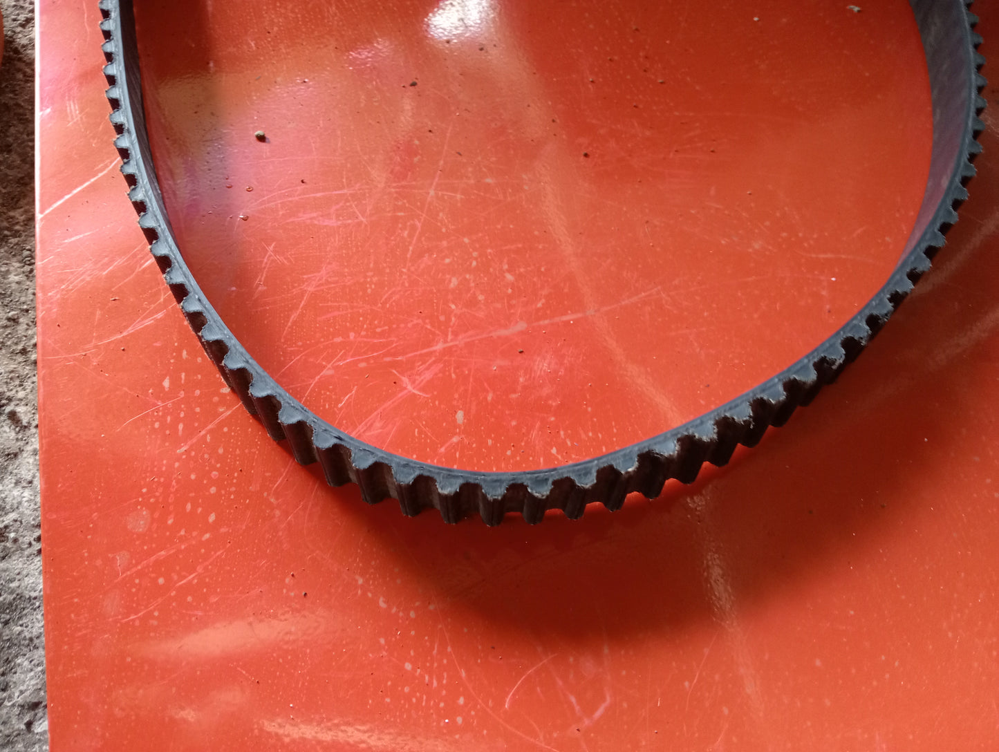 Ford Fiesta 1.6 | Drive Belt
